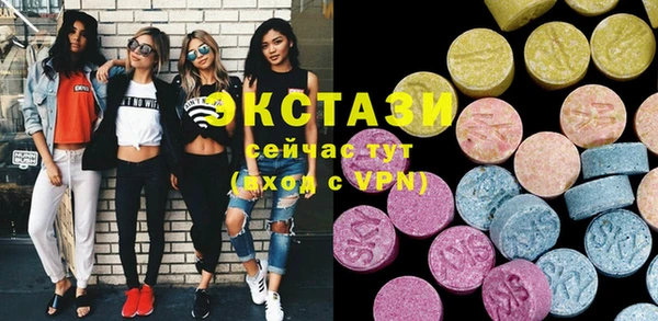 гашик Каменка