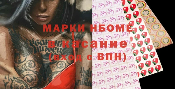 гашик Каменка