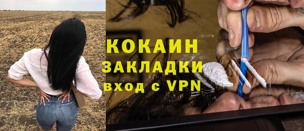 скорость Каменногорск