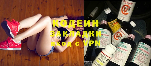 гашик Каменка