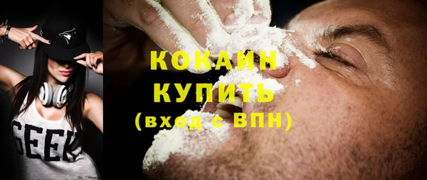 гашик Каменка